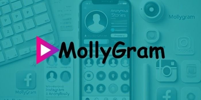Mollygram: Tool for Anonymous Instagram Viewing